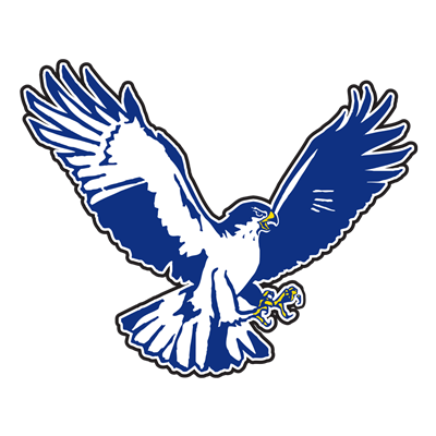 Hawk Hawk