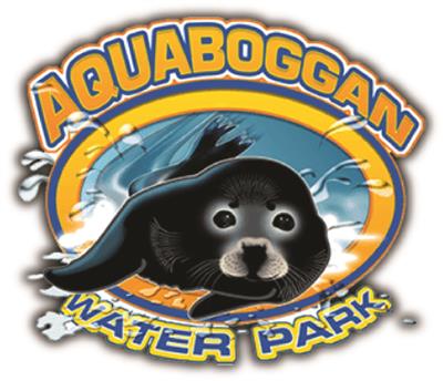 Aquaboggan